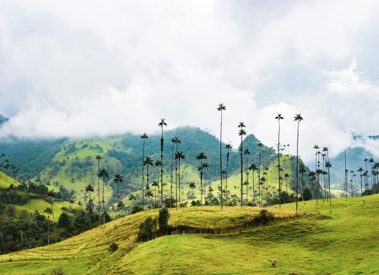 Colombia