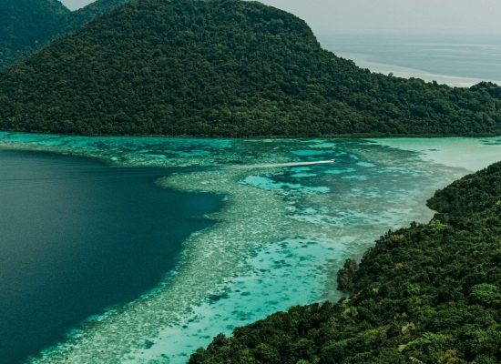 FIJI2