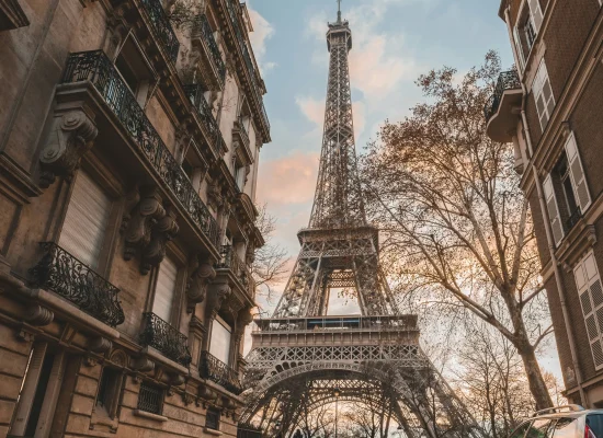 FRANCIA5