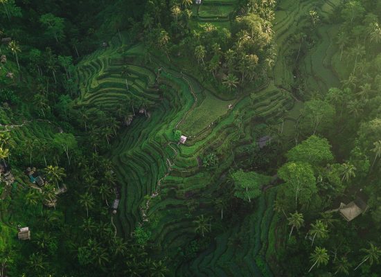 INDONESIA2
