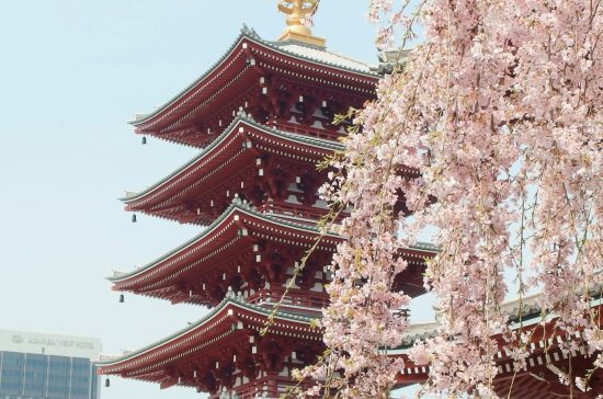 JAPON5