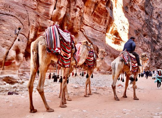 JORDANIA2