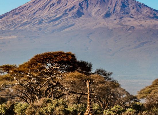 Kenia