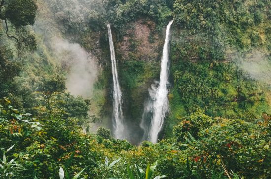 LAOS2
