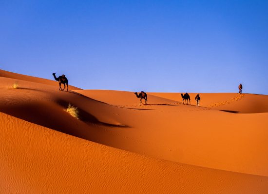 Marruecos