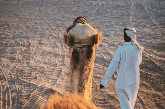 QATAR2