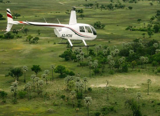 Zambia