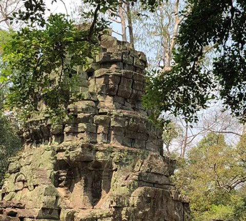 ta-prohm-3 ta-prohm-3