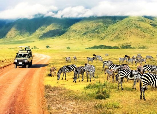 tanzania 2
