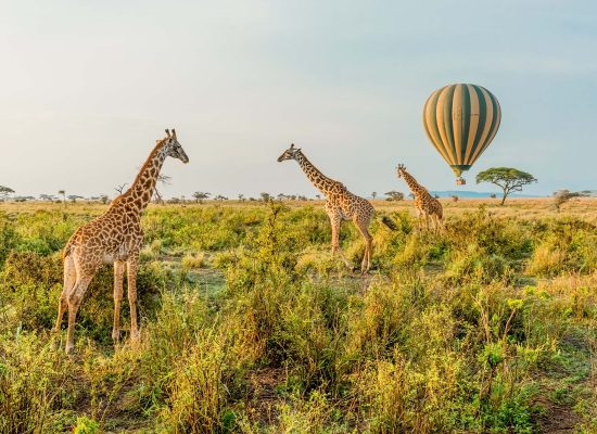 tanzania 3